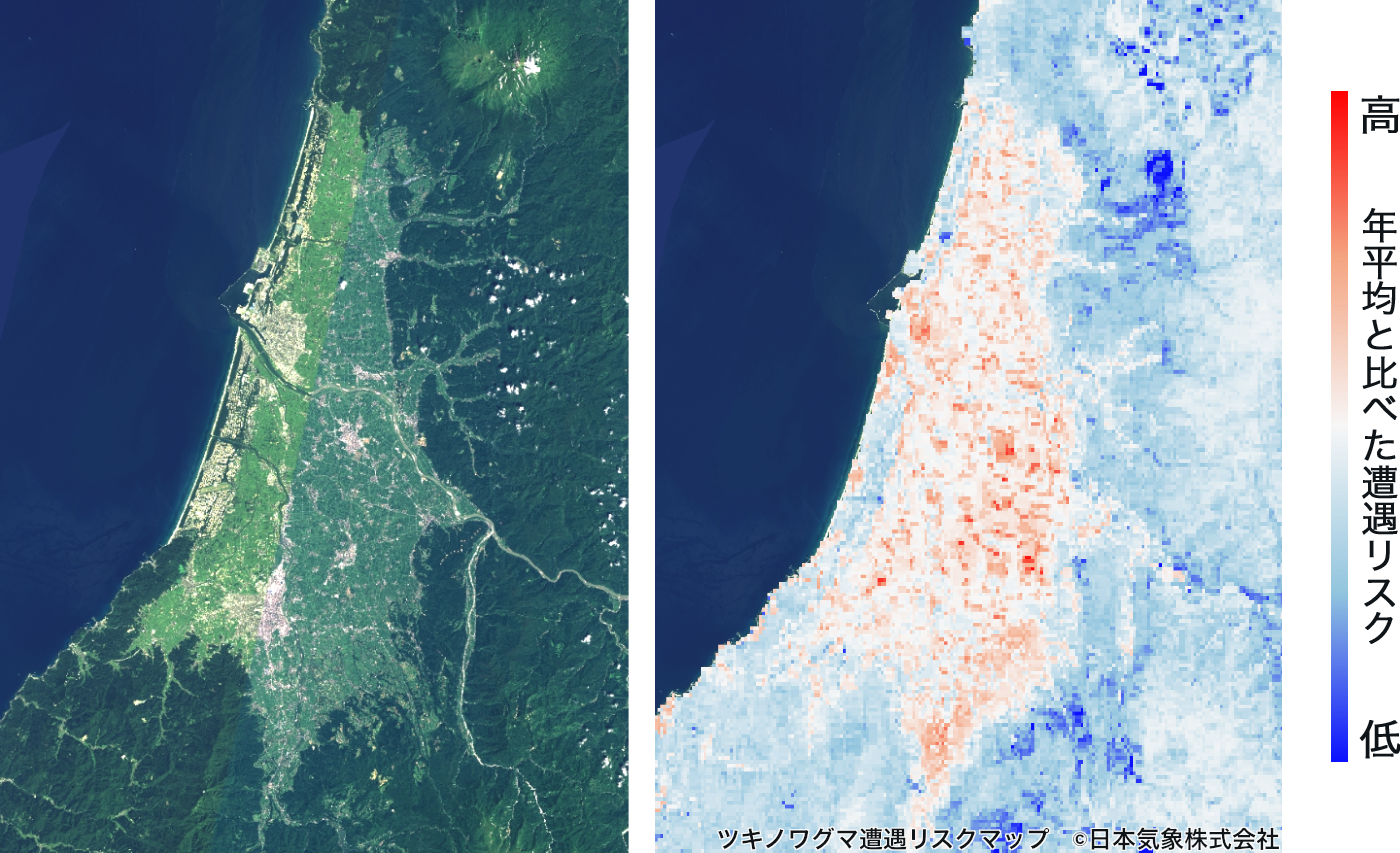 国内初、AI技術を活用した高解像度「クマ遭遇リスクマップ」を開発